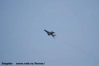 Imagine atasata: Timisoara Air Show 2015 - 2015.07.19 - 393.jpg